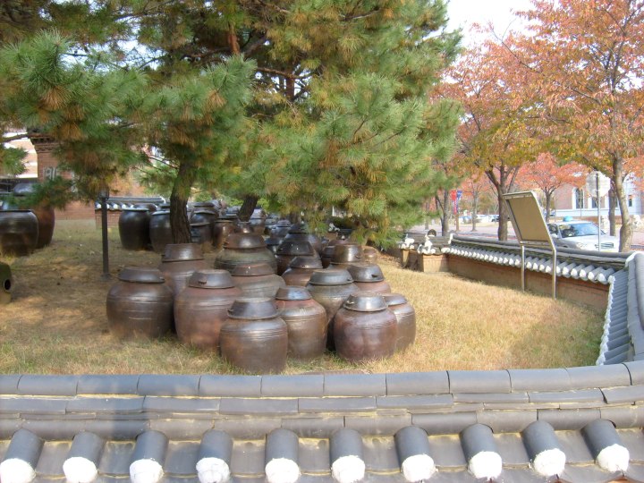 kimchi-pots-at-kemyong