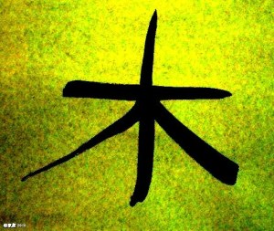 TREE.2 EDITED, hanja, S6305151