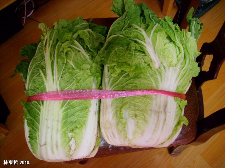 Paechu, Nov 2010, 6ooo W, S6305210