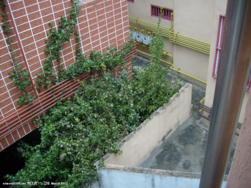 one room alleyways - S6300118