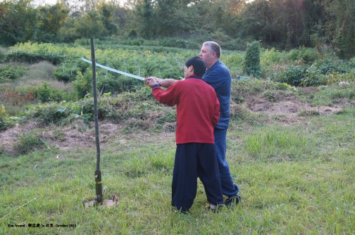 Bamboo cutting in Ulsan