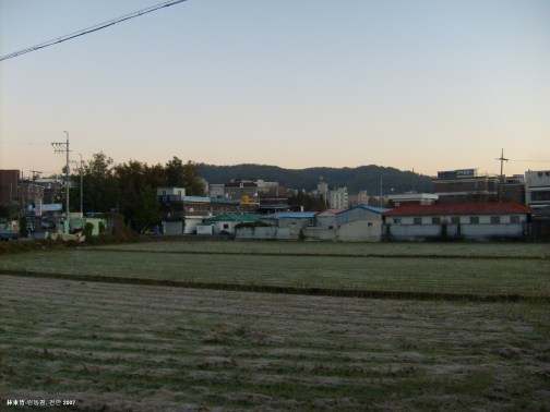 ACROSS THE PADDY TOWARDS MY HOUSE 1